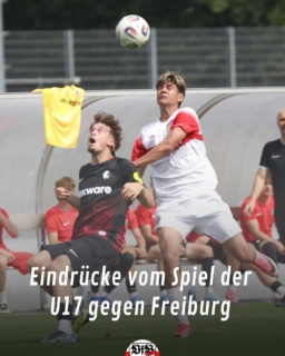 Die Bilder vom 5:0 gegen Freiburg