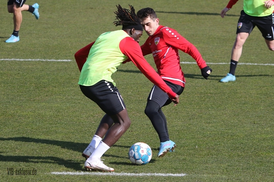 vfb06032213
