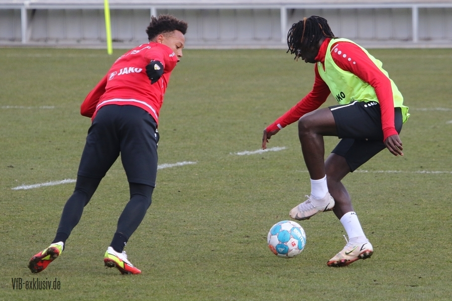 vfb06032219