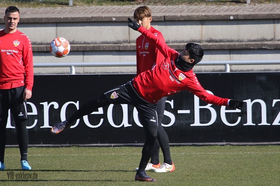 vfb08032202