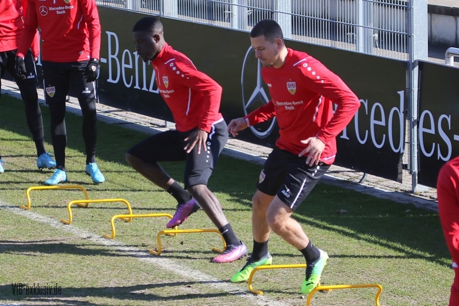 vfb08032207