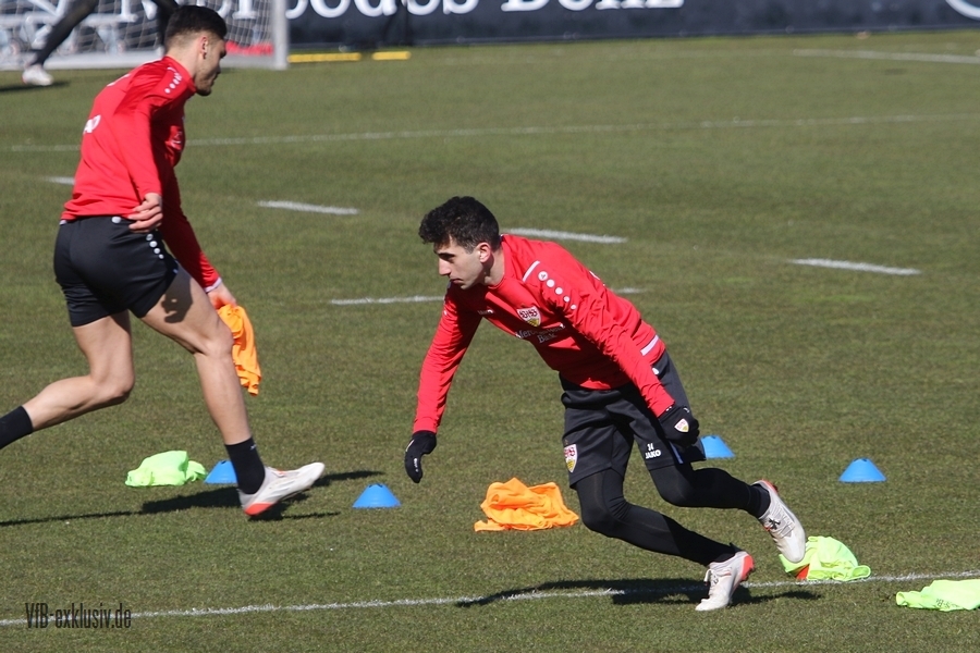 vfb08032211