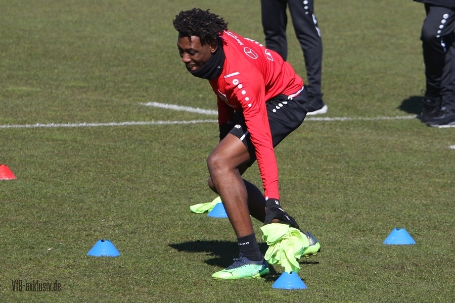 vfb08032215