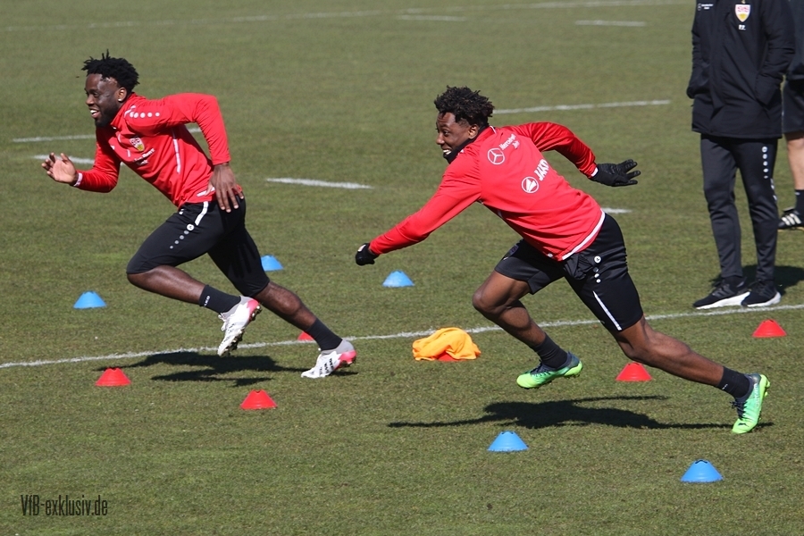 vfb08032216