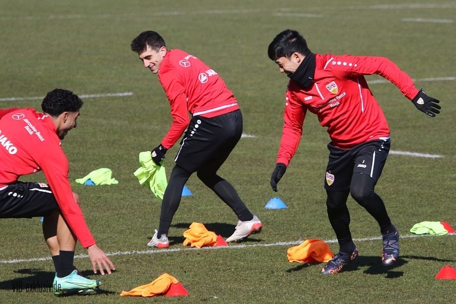 vfb08032217