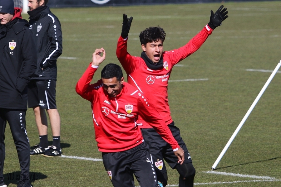 vfb08032218
