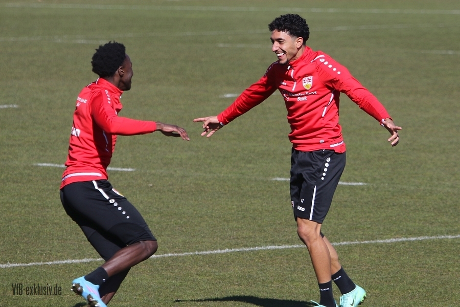 vfb08032219