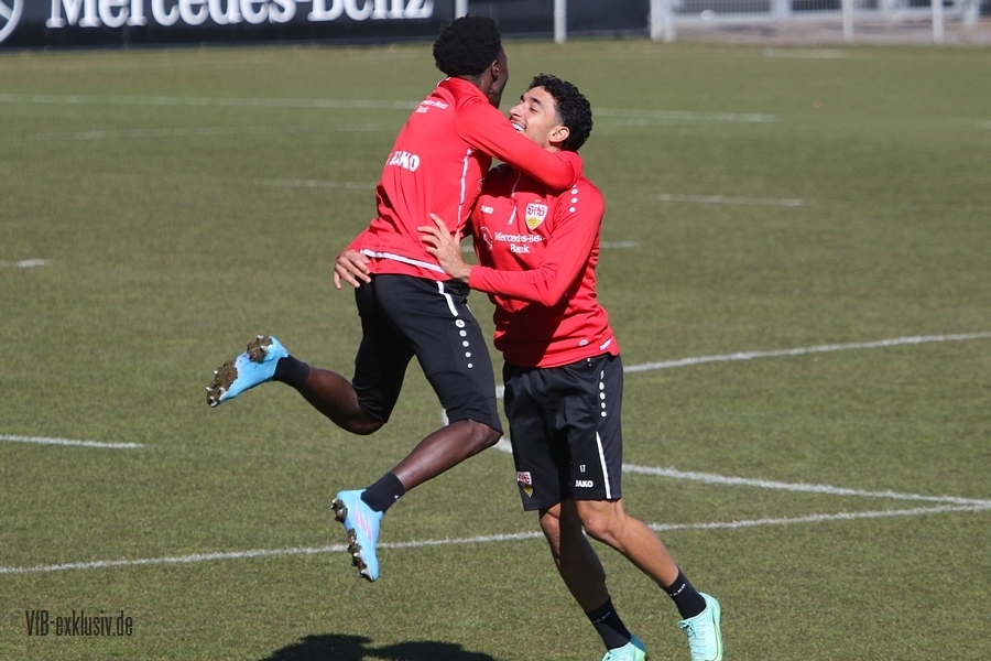vfb08032220