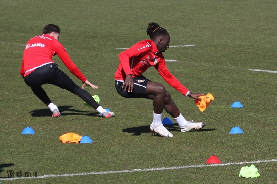 vfb08032225