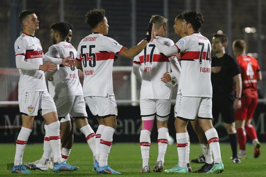 vfb11032205