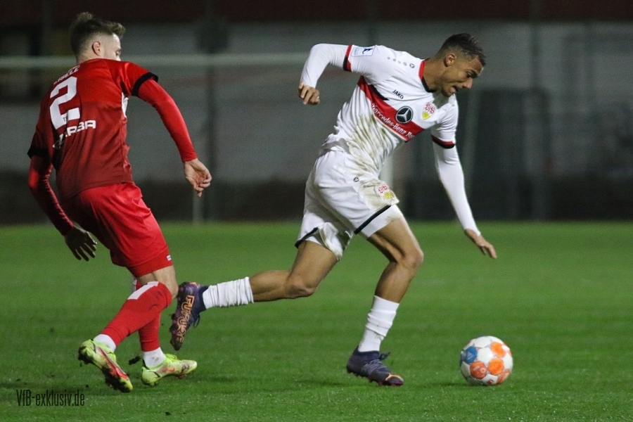 vfb11032211