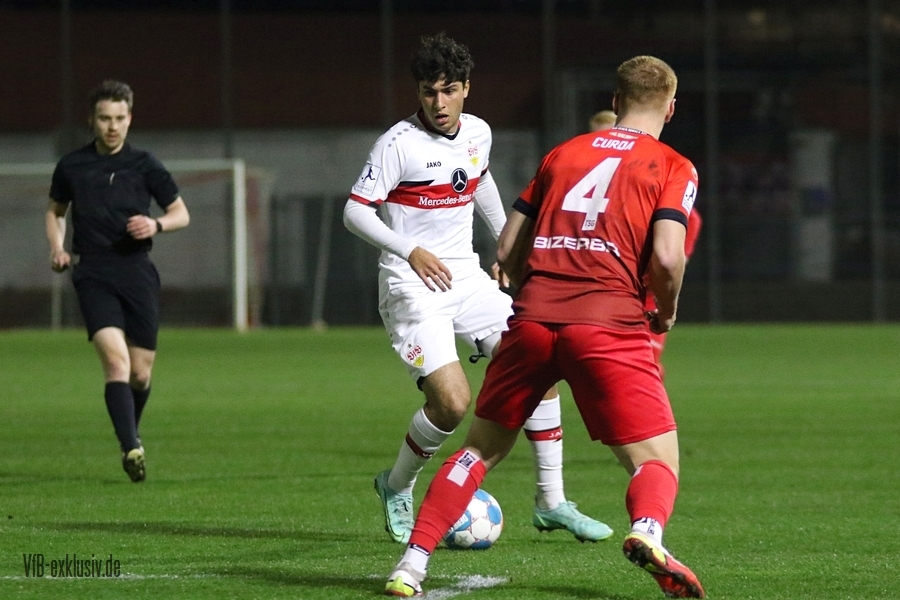 vfb11032212