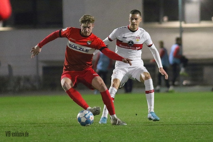 vfb11032213