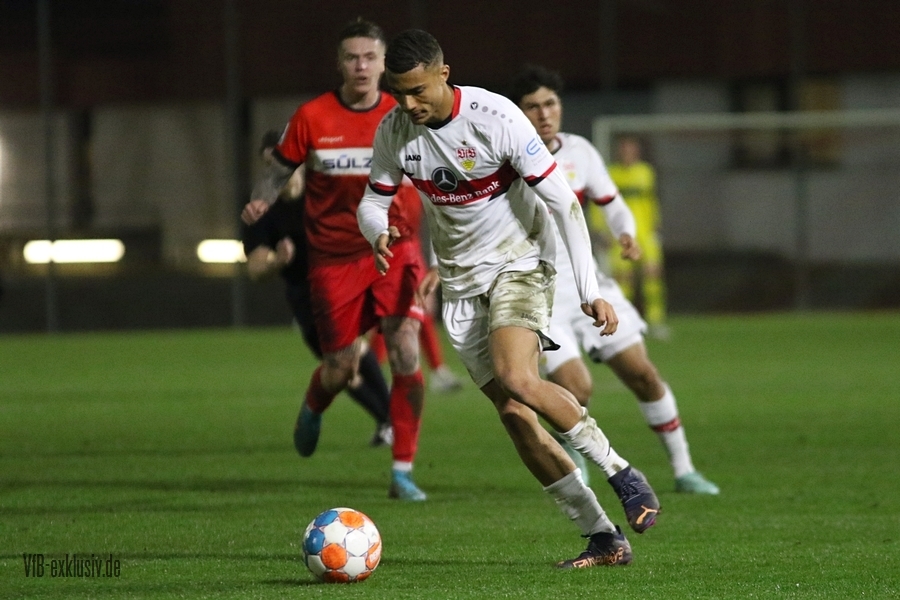 vfb11032214