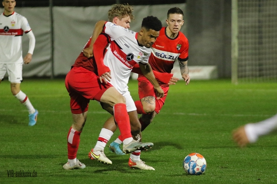 vfb11032216