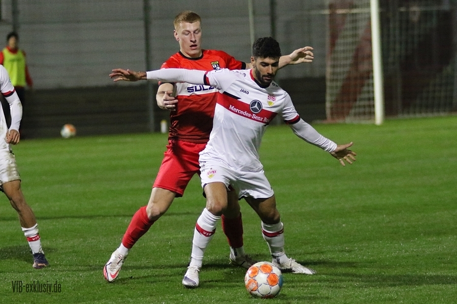 vfb11032219