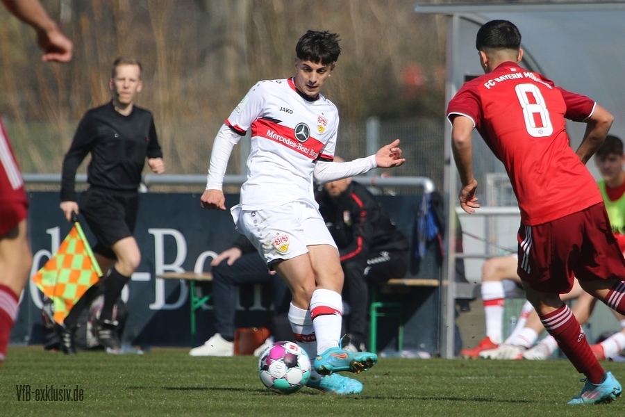 vfb13032210
