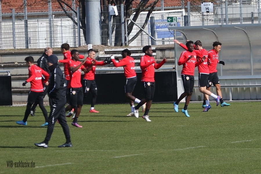 vfb130322101