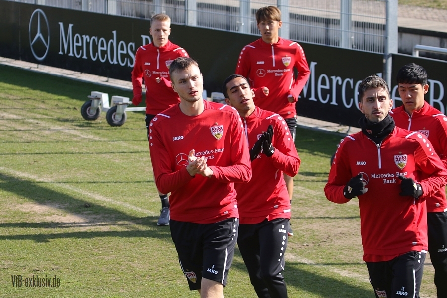 vfb130322102