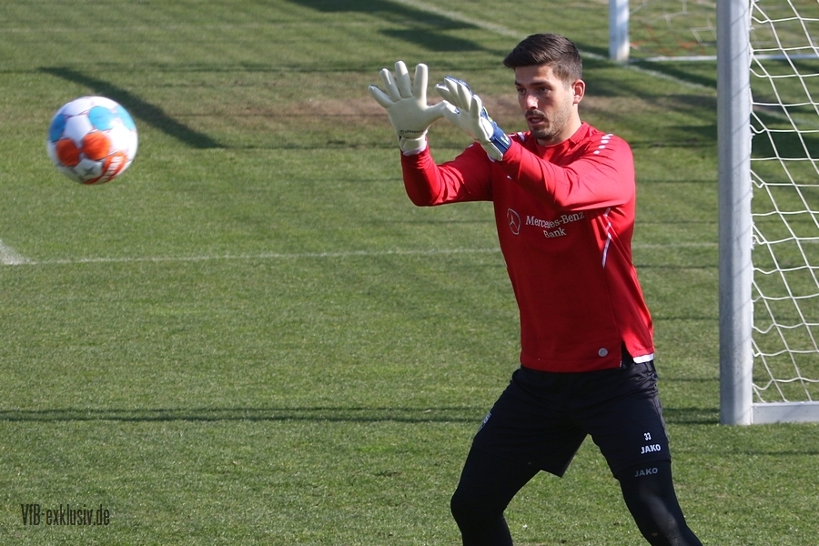 vfb130322103