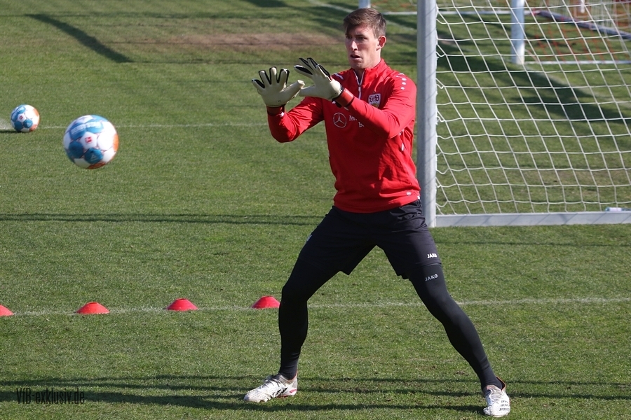vfb130322104