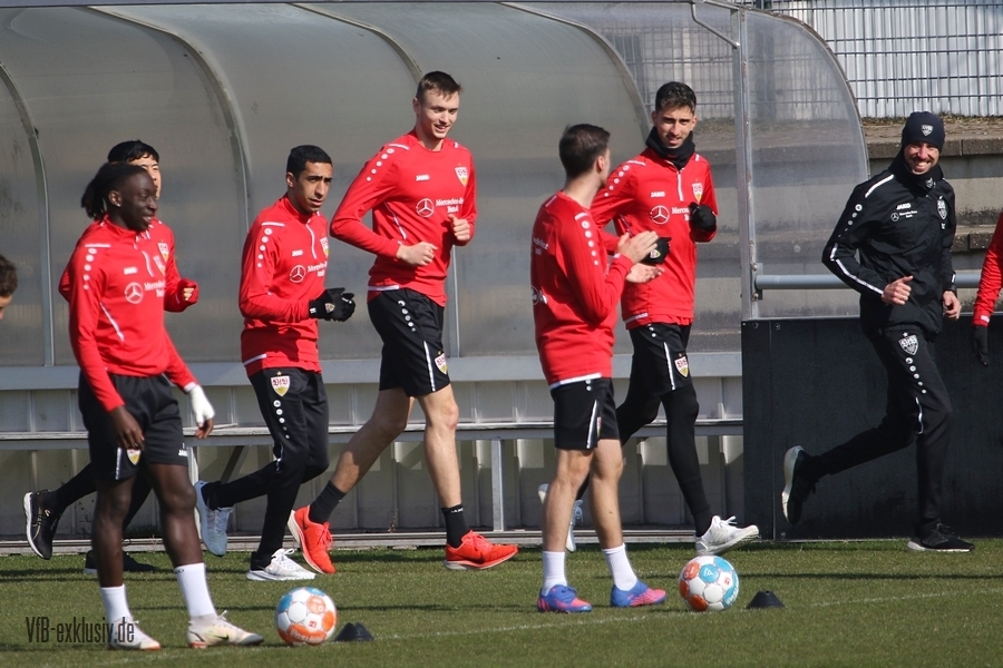 vfb130322105