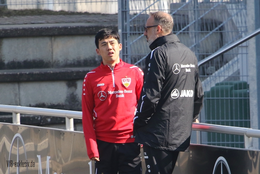 vfb130322107