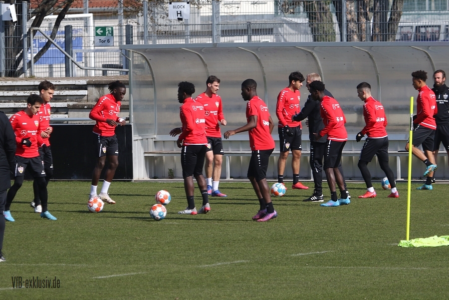 vfb130322108