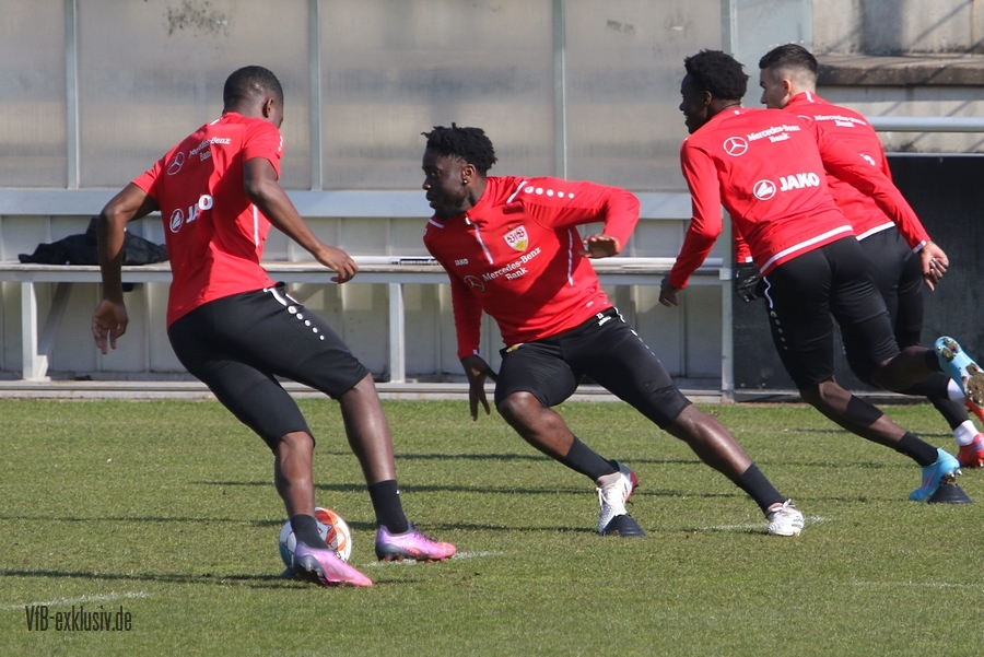 vfb130322109