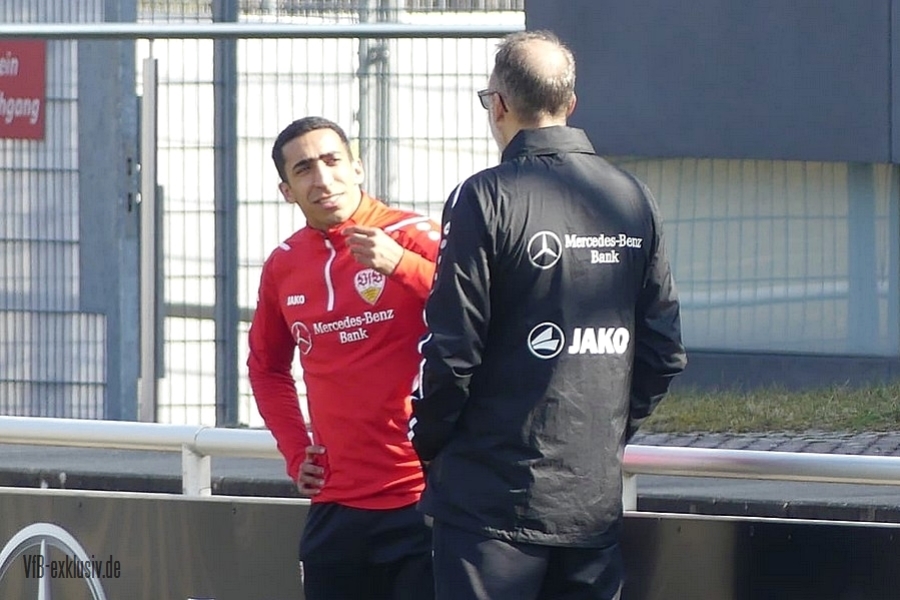 vfb130322110