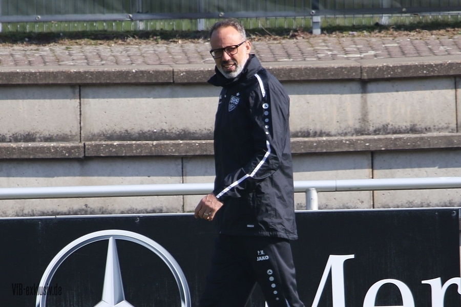 vfb130322111