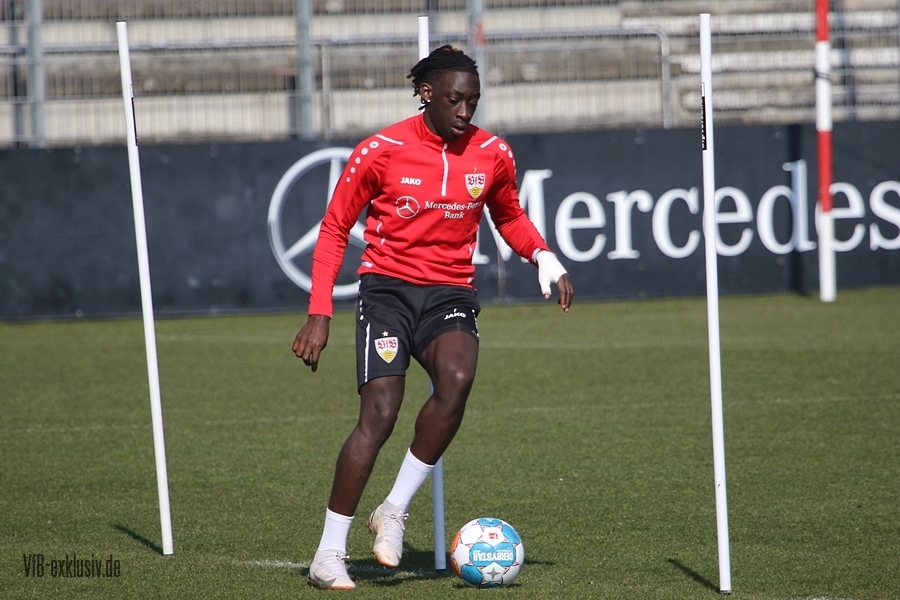 vfb130322112
