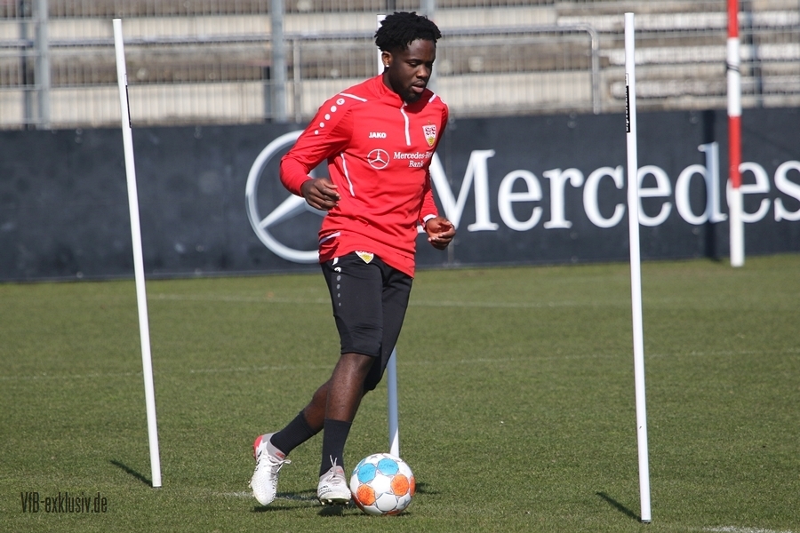 vfb130322113