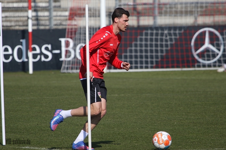vfb130322114