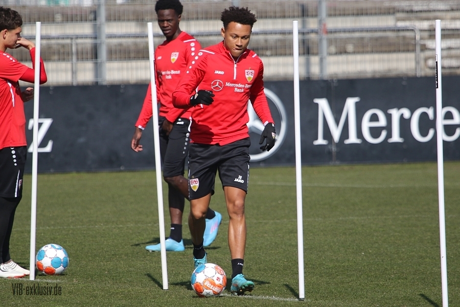 vfb130322115