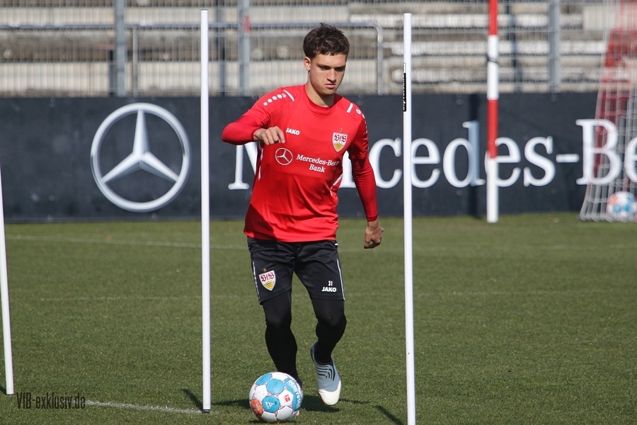 vfb130322116