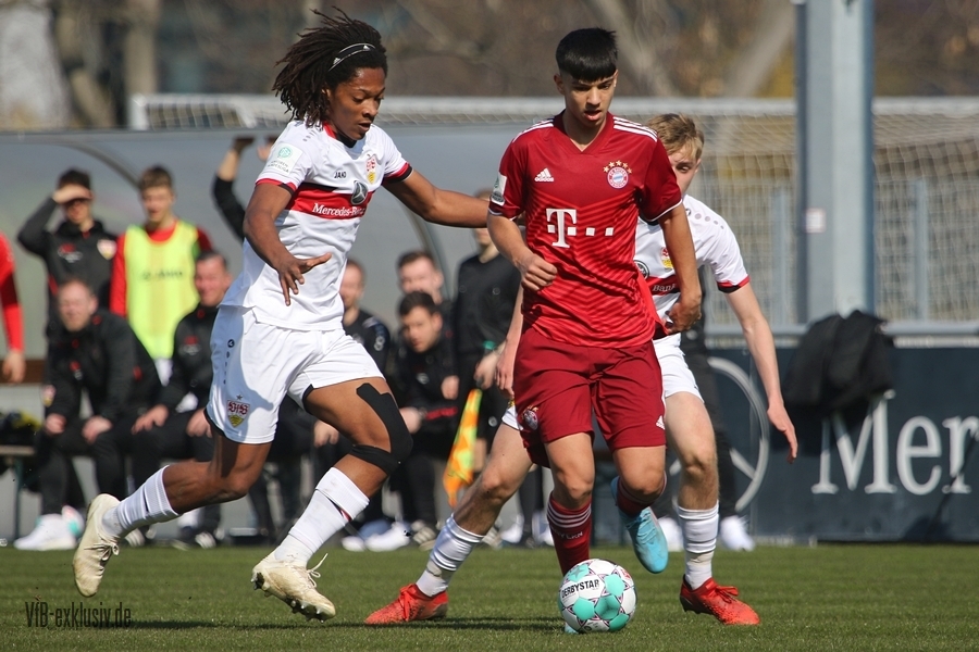 vfb13032212