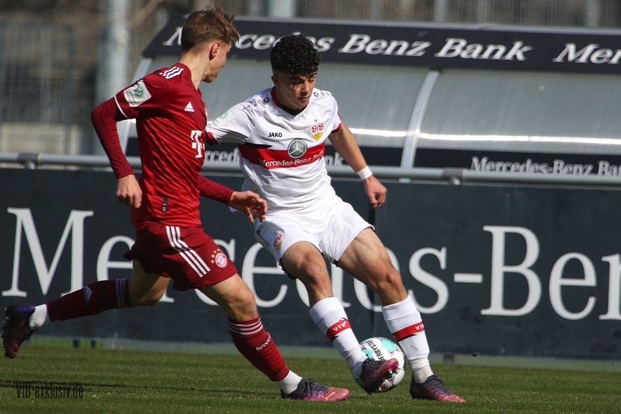 vfb13032213