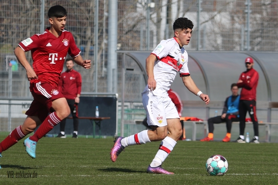 vfb13032219