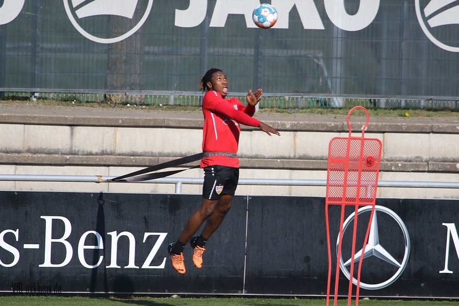 vfb23032212