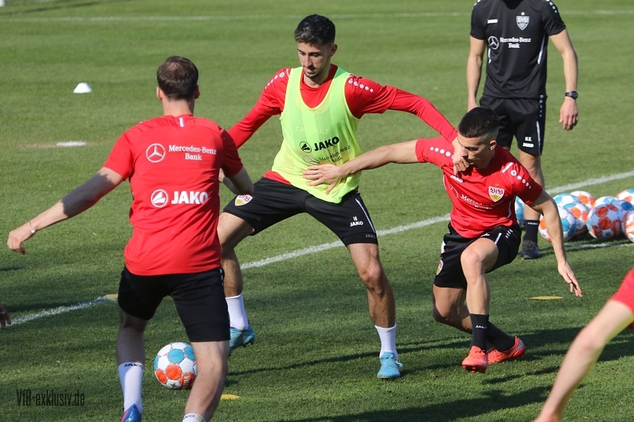 vfb23032213