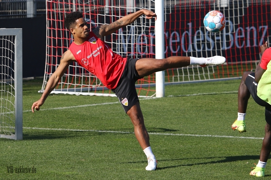 vfb23032217