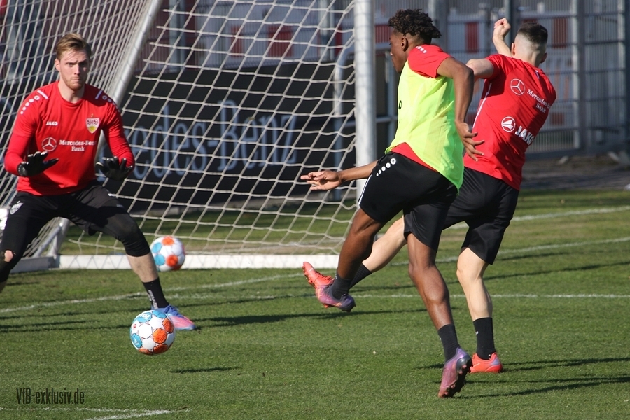 vfb23032219