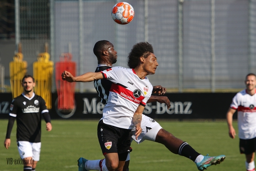 vfb24032213