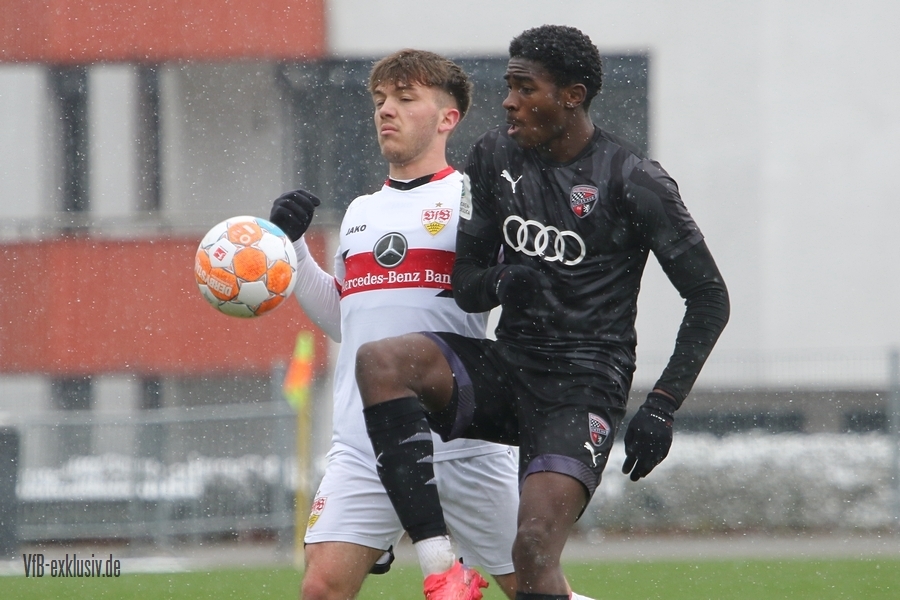 vfb02042211