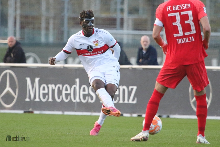 vfb13042211