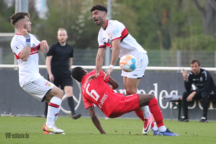 vfb13042215