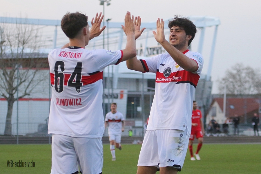 vfb13042218