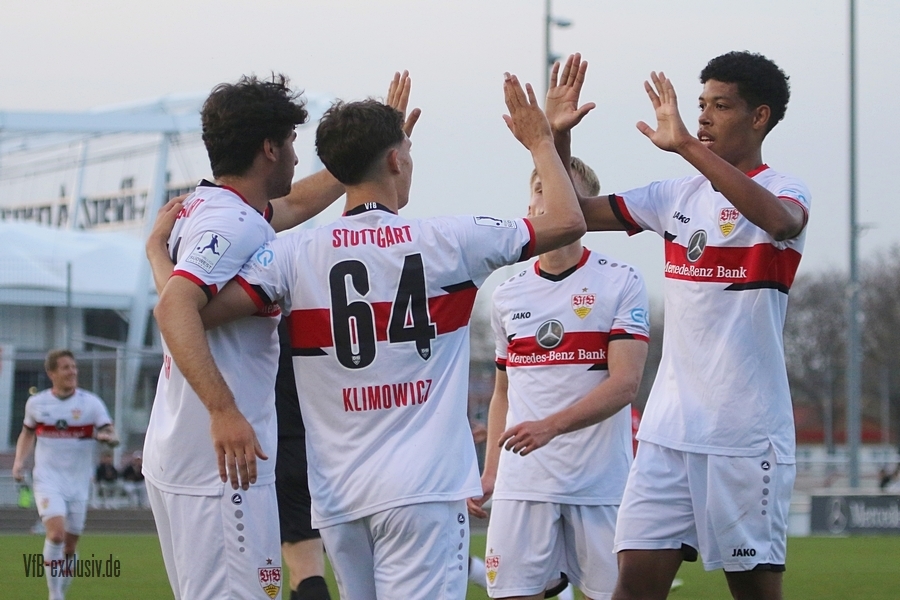 vfb13042219