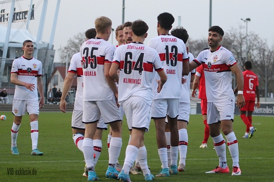 vfb13042220